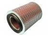 Luftfilter Air Filter:16546-T3400