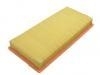 Air Filter:25097917