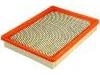 Filtro de aire Air Filter:25096932