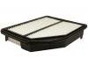 Air Filter:17220-R5A-A00